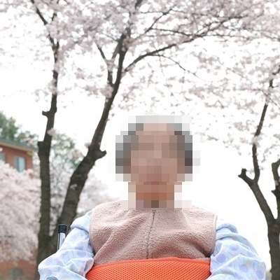 입원환자 봄맞이 벚꽃사진 촬영